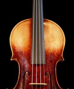 Fiemme Master Series Violin - Dark (one-piece back) 4/4