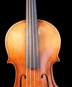 Fiemme Master Series Viola - Coming soon!
