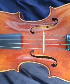 Salvatore Lombardi Viola - Image 4