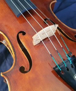 Salvatore Lombardi Viola