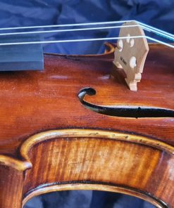Salvatore Lombardi Viola - Image 5