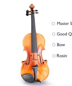 Piere Lomont Master Violin Outfit - Image 3