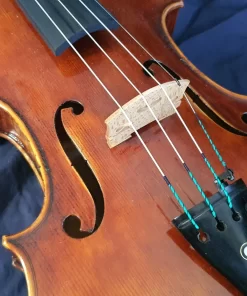 Intermediate Violas