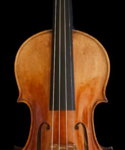 Fiemme Master Series Violin - Gold (one-piece back) 4/4