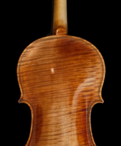 Alternative view of Fiemme Master Series Violin - Gold (one-piece back) 4/4