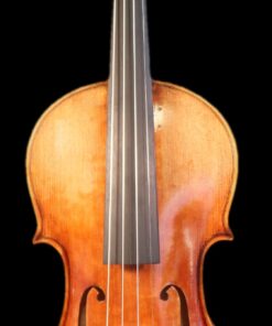 Fiemme Master Series Violin - Gold (two-piece back) 4/4