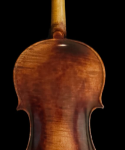Alternative view of Fiemme Master Series Violin - Dark (one-piece back) 4/4