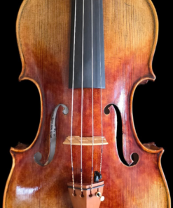 Fiemme Master Series Viola