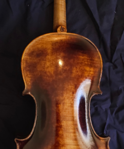 Hoffmeister Master Back