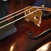 Hoffmeister Master - Set up by Master Violin Maker Olaf Grawert