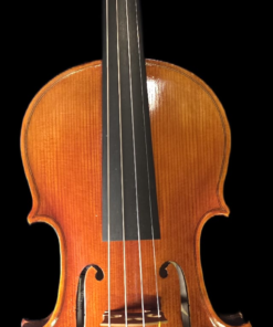 Lorenzo Garibaldi Violin Outfit