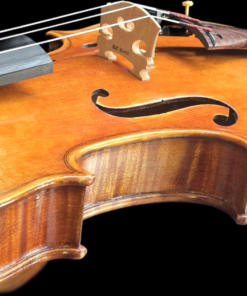 Ricardo Grandani Master Violin Outfit - Image 4